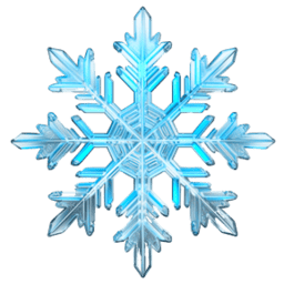 Freeze